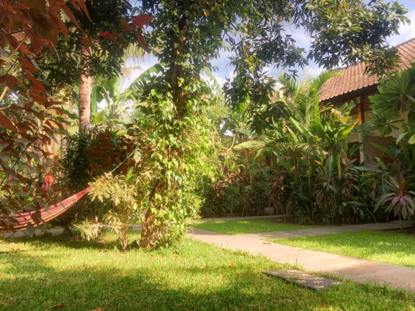 Mango Moon Hotel Pemuteran Exterior foto